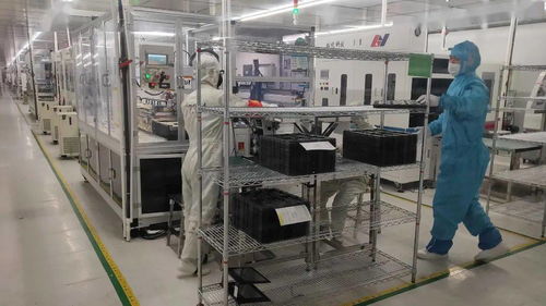 奋力夺取 开门红 江门企业开年生产忙奔头足